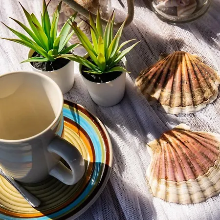 Smeralda Sul Mare Ferienhaus *
